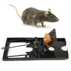 Trampa Para Ratas Ratones Roedores Metálica: imagen 2