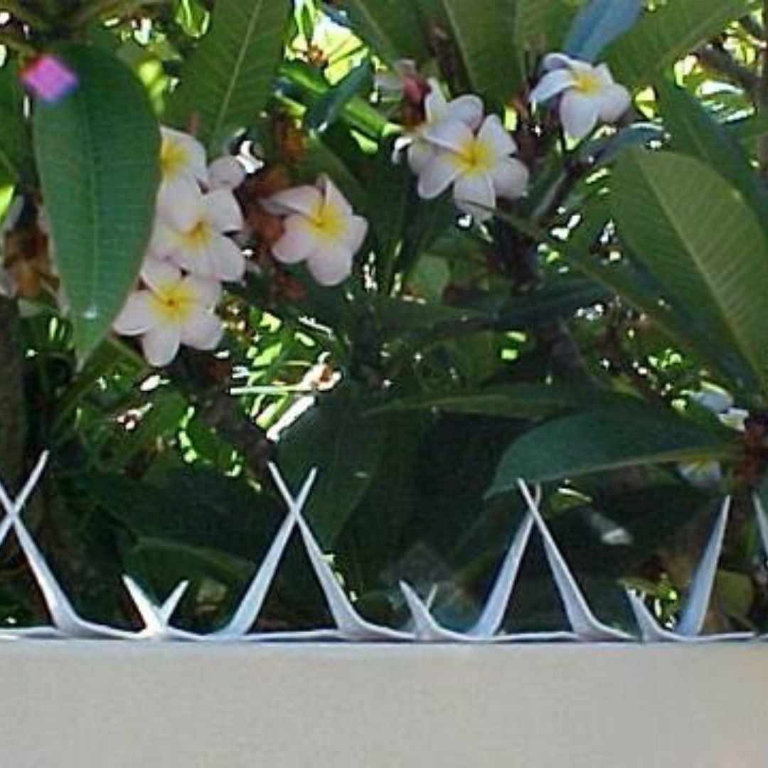 Pinchos O Puas De Seguridad Acero Galvanizado 1,25 Metros - Imagen 5