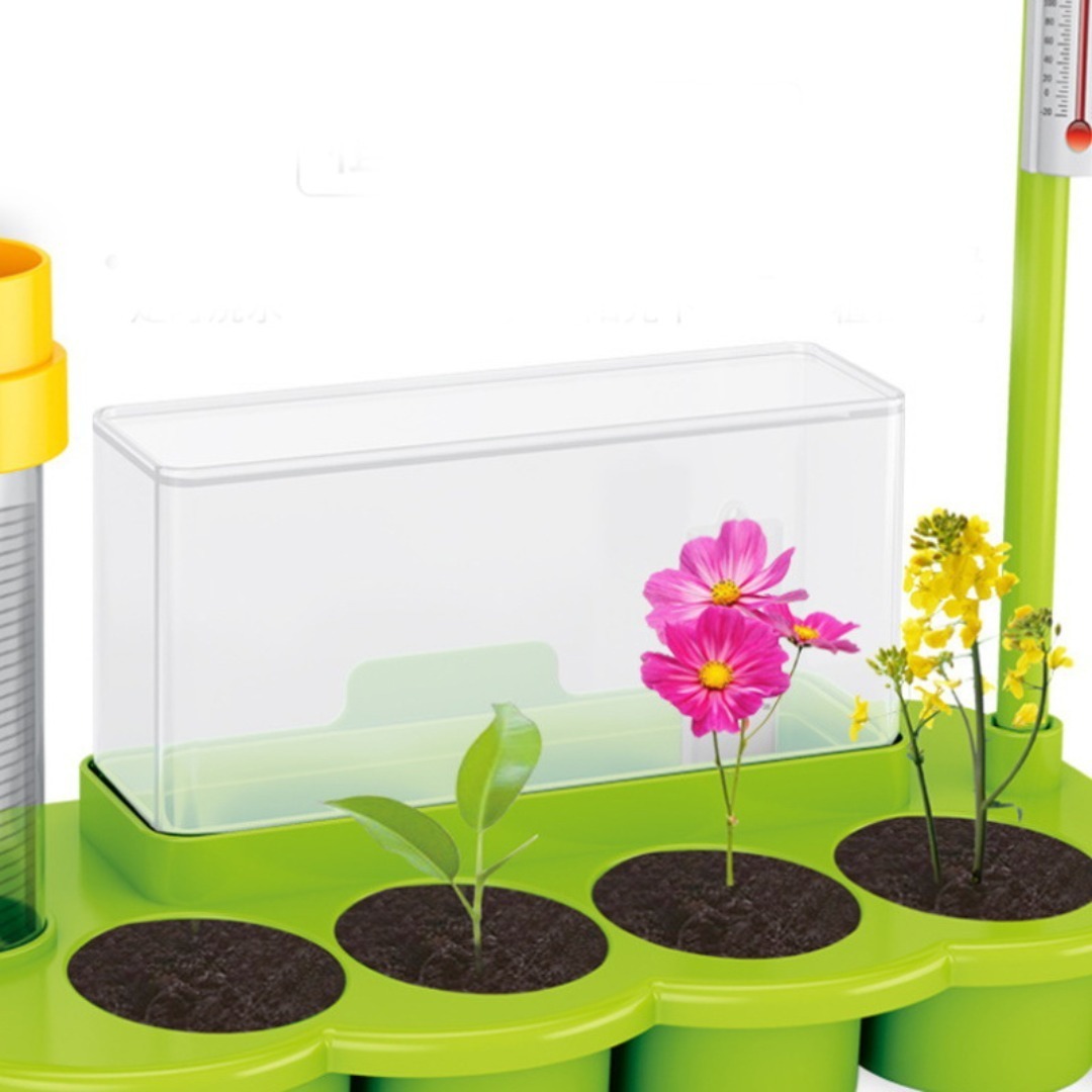Juego Kit Experimento Estación Meteorologica Niños: imagen 3