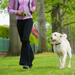 Correa Retráctil De 3 Metros Para Perro. Variedad De Colores: imagen 3