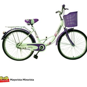 Bicicleta Bici Paseo Dama Rodado 24 Con Canasto Armada: imagen 11