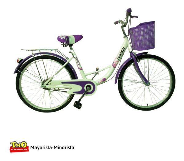 Bicicleta Bici Paseo Dama Rodado 24 Con Canasto Armada