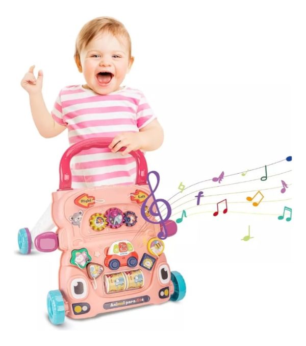 Andador Caminador Multifuncional Primeros Pasos Bebe Niño Rosa