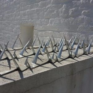 Pinchos Púas De Seguridad Para Muro Acero Galv De 1,25mts: imagen 5