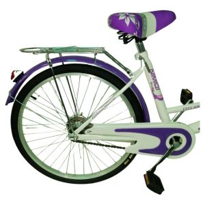 Bicicleta Bici Paseo Dama Rodado 24 Con Canasto Armada: imagen 13