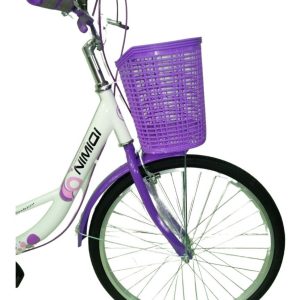 Bicicleta Bici Paseo Dama Rodado 24 Con Canasto Armada: imagen 12