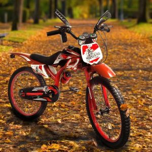 Bicicleta Moto Bicimoto Niños Rodado 20 Armada: imagen 5