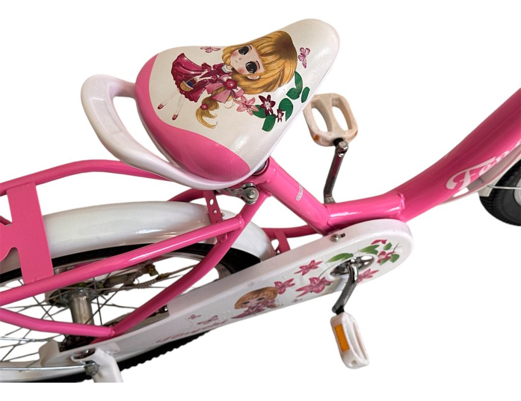 Bicicleta Bici Niña Rodado 20 Con Canasto Armada