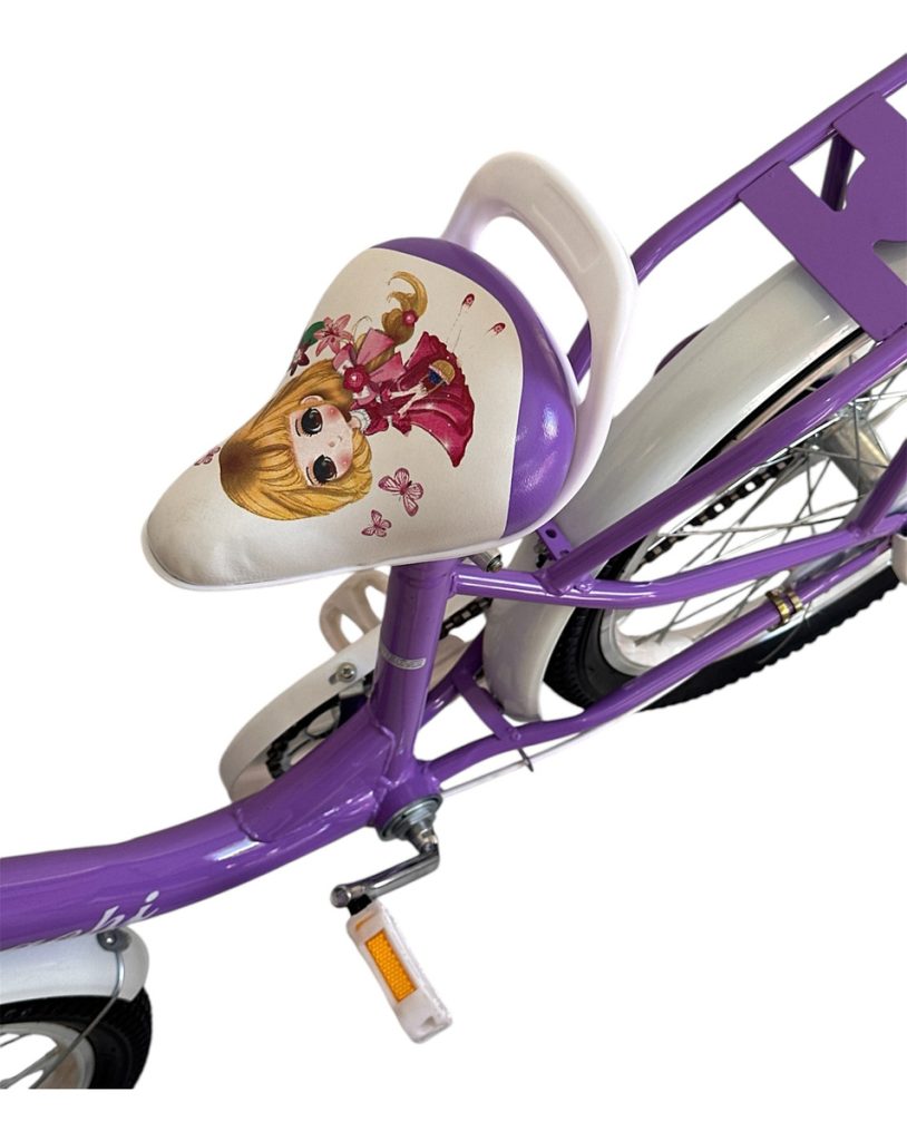 Bicicleta Bici Niña Rodado 20 Con Canasto Armada