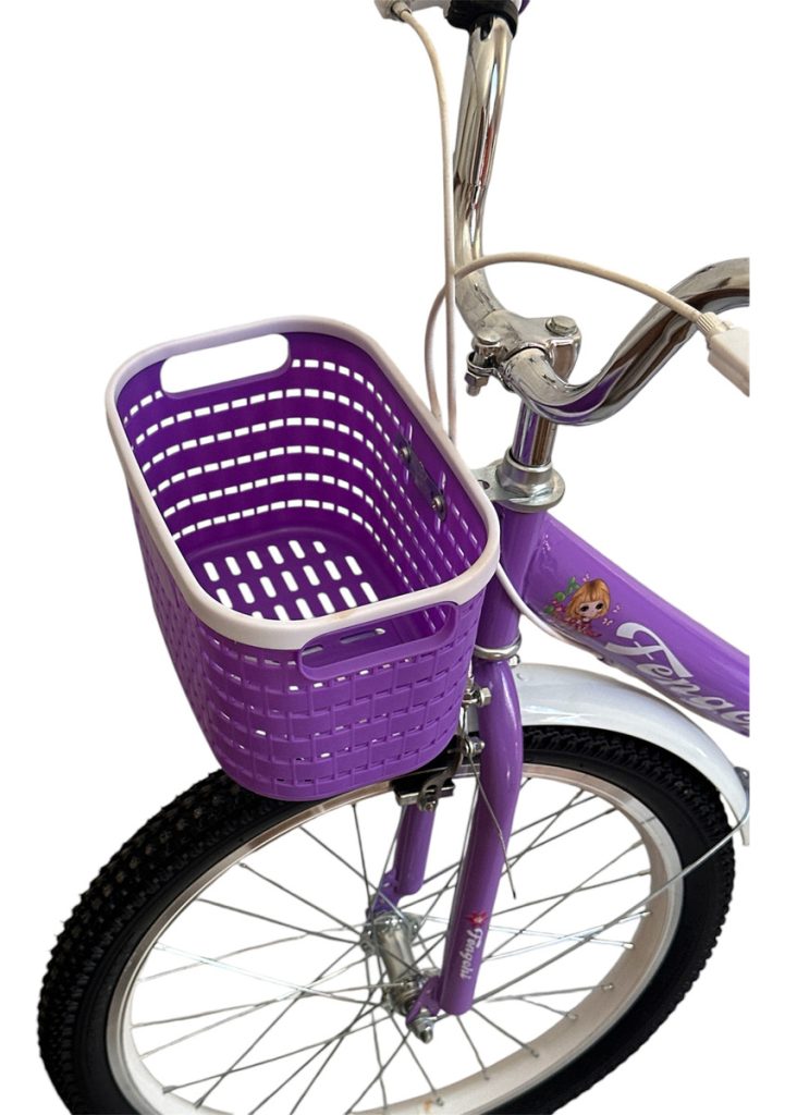 Bicicleta Bici Niña Rodado 20 Con Canasto Armada