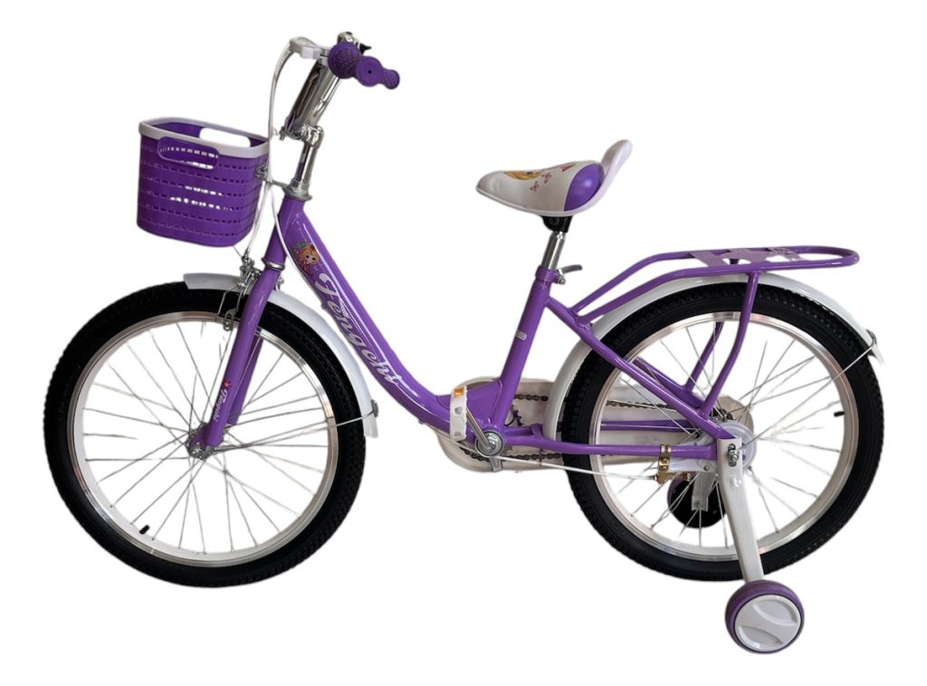 Bicicleta Bici Niña Rodado 20 Con Canasto Armada