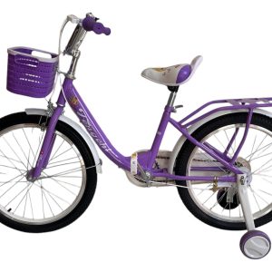 Bicicleta Bici Niña Rodado 20 Con Canasto Armada: imagen 6