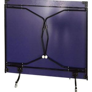 Mesa De Ping Pong Profesional Plegable Con Ruedas C/paletas: imagen 2