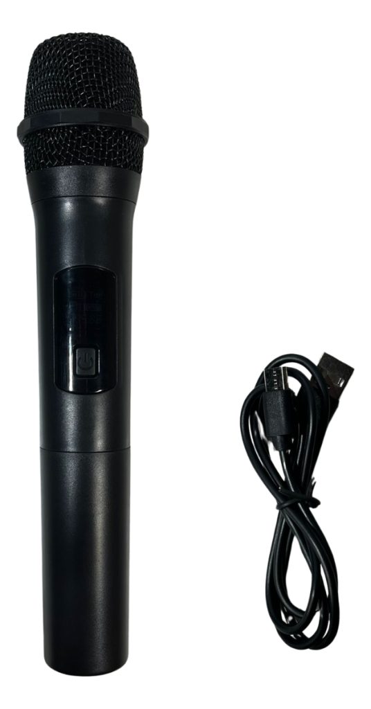Parlante Portátil Con Bluetooth 8 Pulgadas Más Microfono Negro
