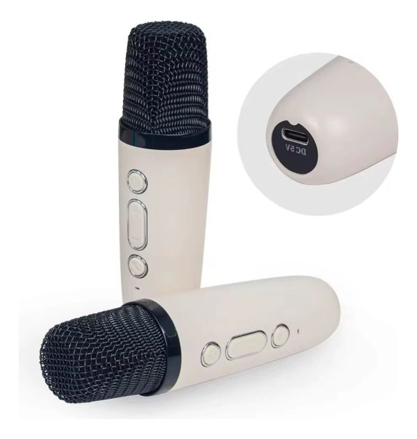 Parlante Con Micrófono Karaoke Niño Adulto Luz Led