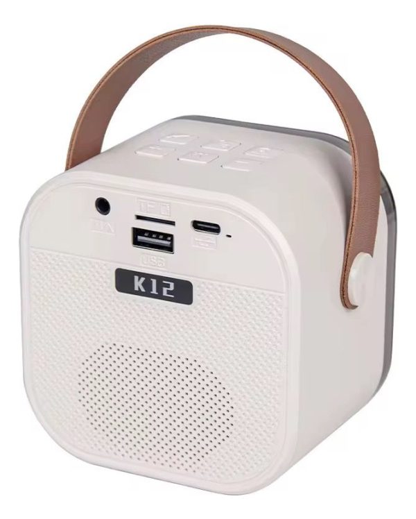 Parlante Con Micrófono Karaoke Niño Adulto Luz Led