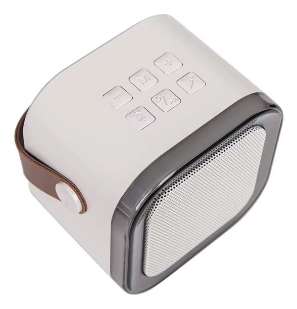Parlante Con Micrófono Karaoke Niño Adulto Luz Led