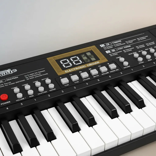 Piano Teclado Con Micrófono 22 Teclas Organo Infantil